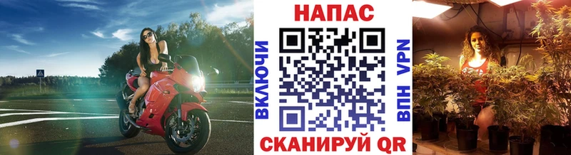 Бошки марихуана OG Kush  Купить где  Алагир 